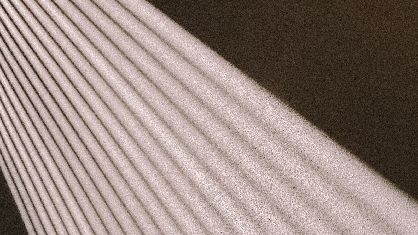 Emerging from the Shadows: Insights into the Enigmatic ‘Bulge