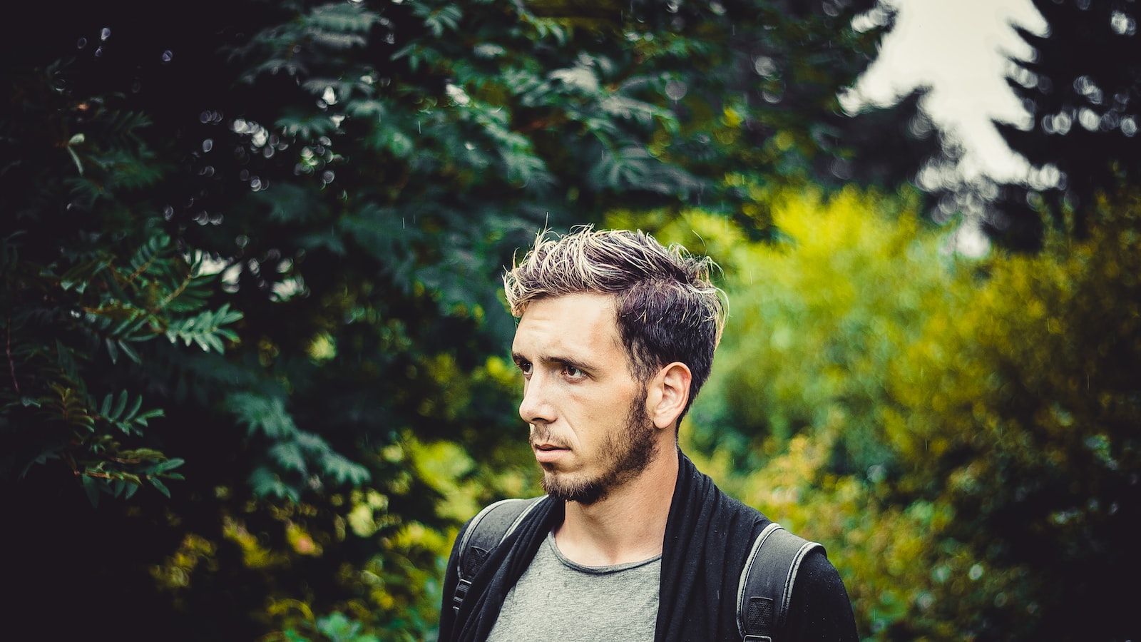 Unveiling Grandeur: A Gentle Journey toward Natural Male Enhancements