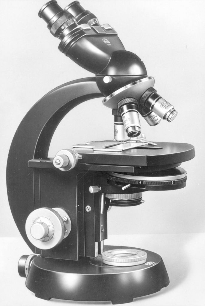 Under the Microscope: Unveiling the Science of Ample Manhood