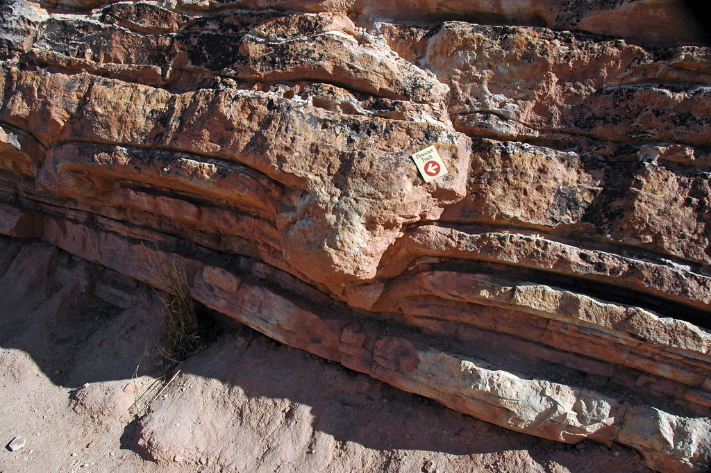 The Swell Mystery: Unraveling the Enigmatic Bulge Phenomenon