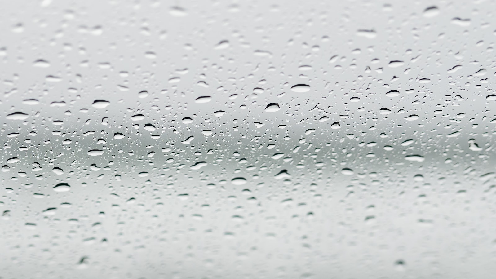 The Peculiar Swell: Demystifying the Enigmatic Bulge Phenomenon