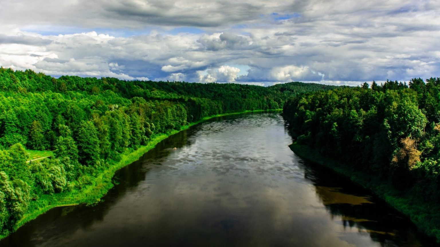 The Art of Embracing Curves: Unveiling the Mesmerizing Bulge Phenomenon