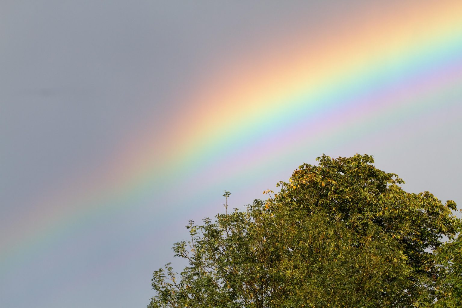 Heating up the Rainbow: Unveiling the Allure of the ‘Hot Gay