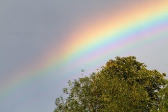 Heating up the Rainbow: Unveiling the Allure of the ‘Hot Gay