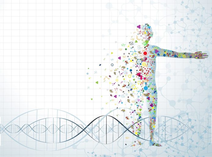 what-is-a-digital-marketing-business.jpg What Is a Digital Marketing Business