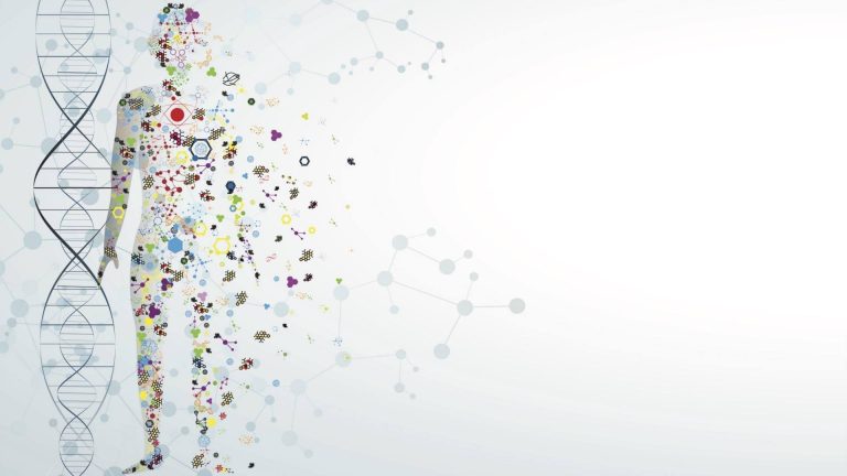 Bluehost India Web Hosting Review: In-Depth Analysis of Services and Features