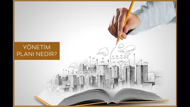 What Are Verticals in Business?