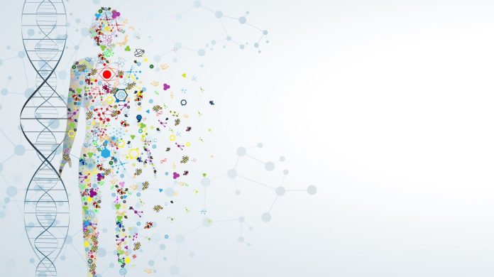 dreamhost-web-hosting-an-in-depth-analysis-of-features-performance-and-reliability.jpg DreamHost Web Hosting: An In-Depth Analysis of Features, Performance, and Reliability