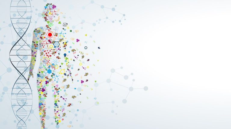 DreamHost Web Hosting: An In-Depth Analysis of Features, Performance, and Reliability