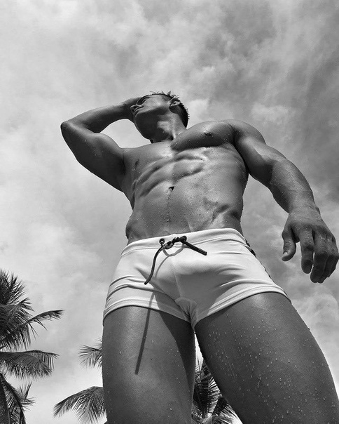 Mens Transparent Briefs