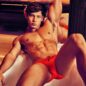 Desires Unzipped: An Explosive Exploration of Jockstraps and Hard Bodies