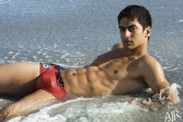 What Does Anisogamy Mean in Psychology?