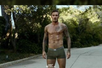 Spotlight on Stiff Days Wholesale: From Curve to Core