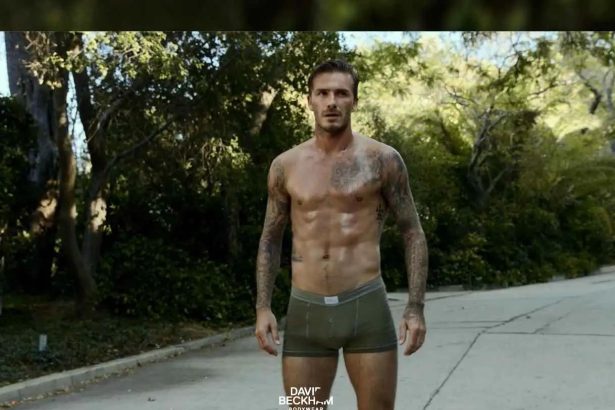 Spotlight on Stiff Days Wholesale: From Curve to Core